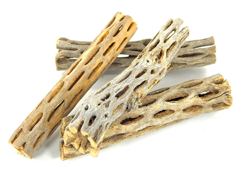 Cholla Cactus Blanks – Rapture Resins